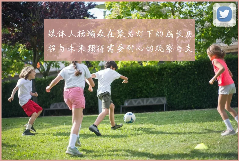 媒体人杨瀚森在聚光灯下的成长历程与未来期待需要耐心的观察与支持