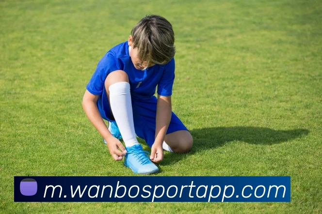 万博体育平台生态图