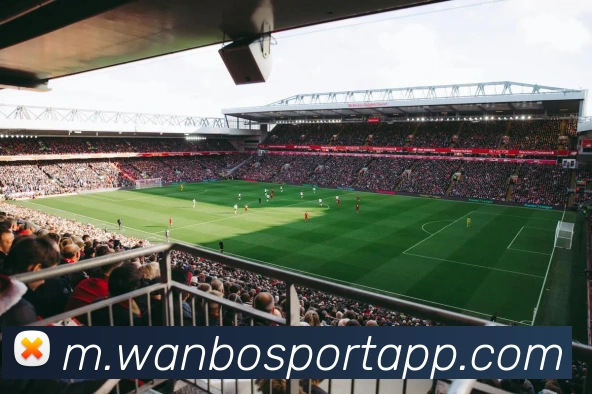 万博体育全站App